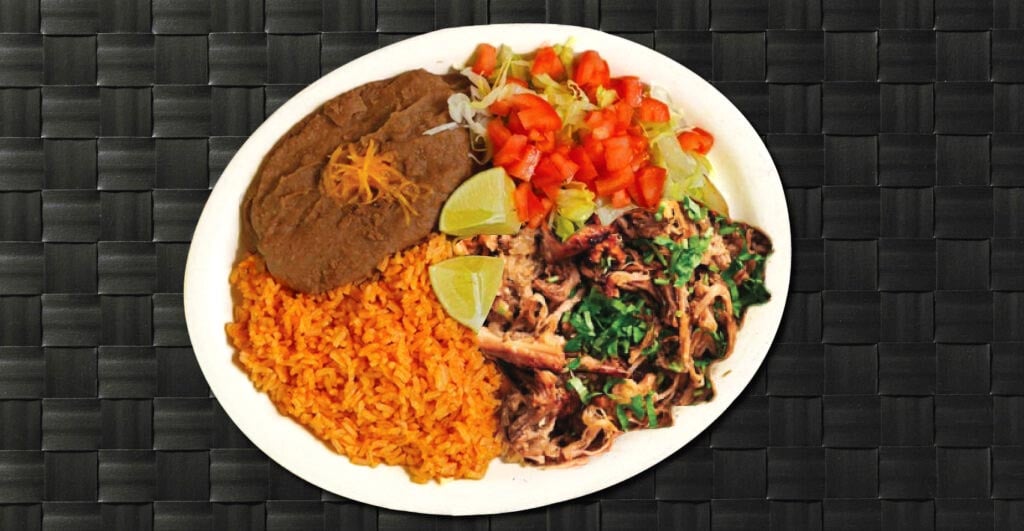 MealPro Beef Barbacoa Dish