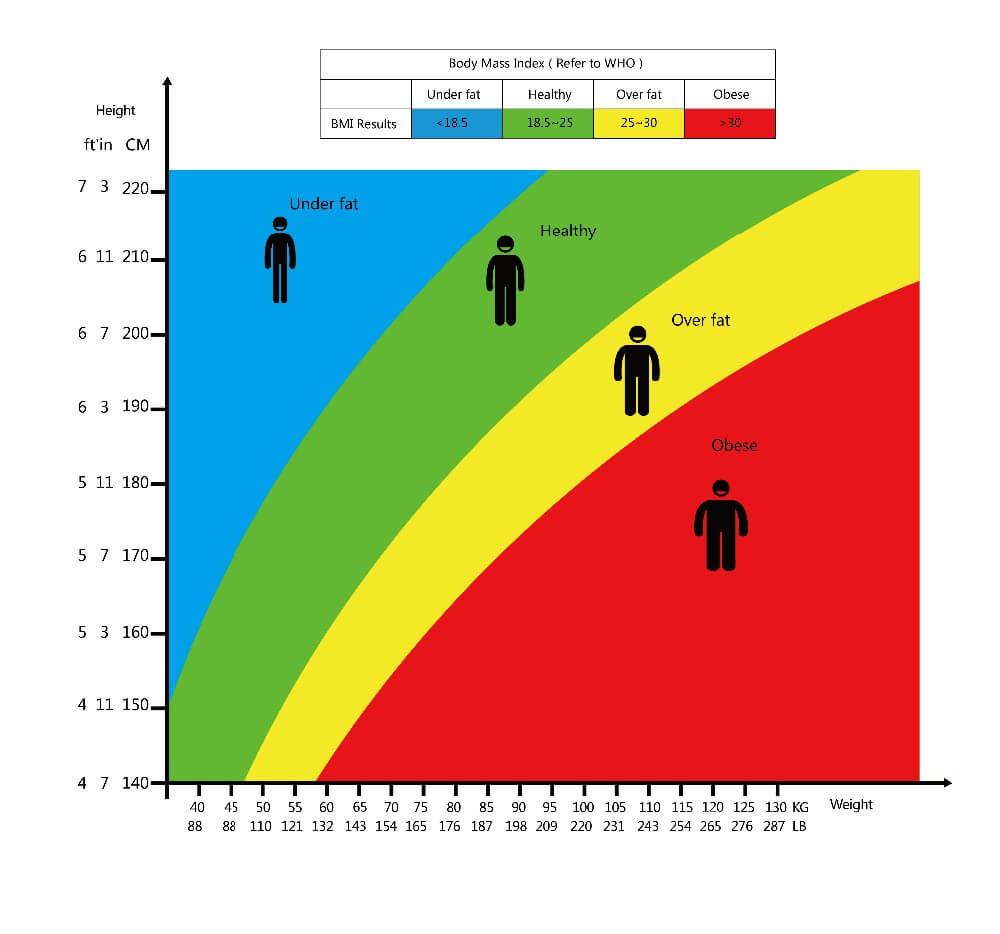 Bmi Score Chart