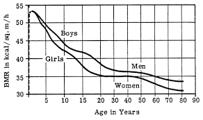 The BMR Chart including Basal Metabolic Rate and Metabolism Changes With Age