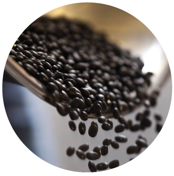 Picture of black beans being tossed in a mixing bowl that will later be used to prepare your healthy meals.