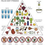 What is the Paleo Diet?