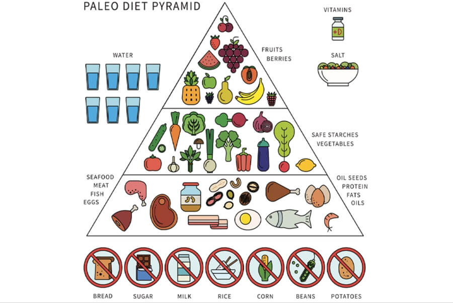 What is the Paleo Diet? Also Known as the Caveman's Diet Plan