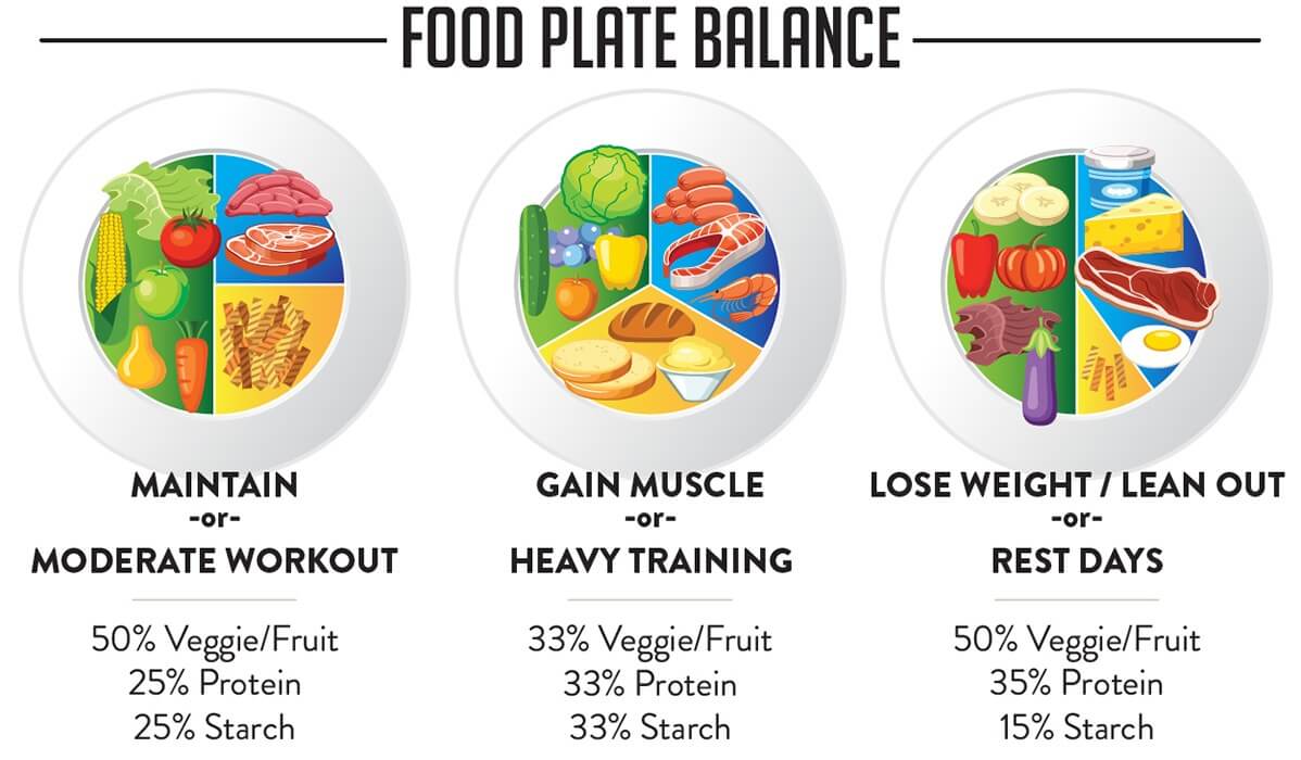 Picture of what your typical food plate might look like