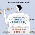 9 Essential Amino Acids