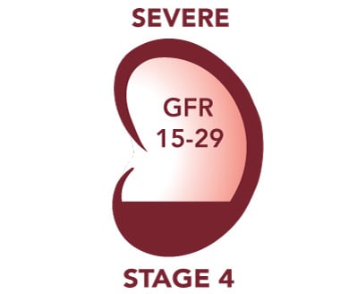 Icon showing moderate damage to kidney