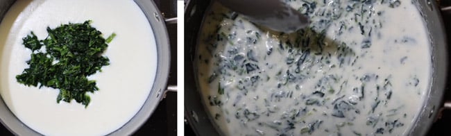 spinach béchamel recipe