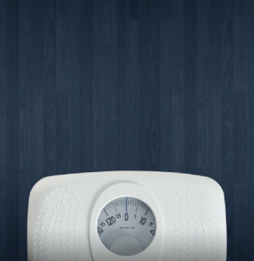 Fitness Meal Plans Delivered. Nutritionist Designed & Chef Crafted Plans