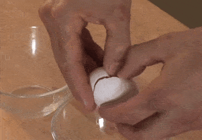 how to separate an egg