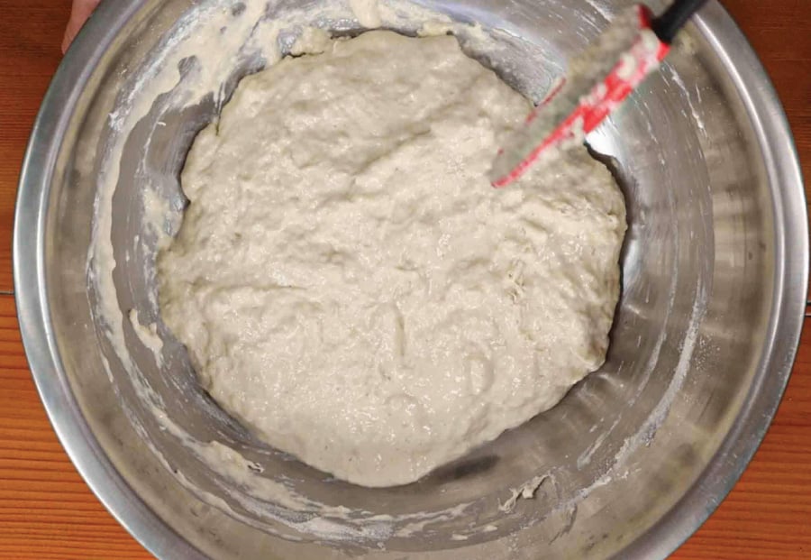 sourdough mix 