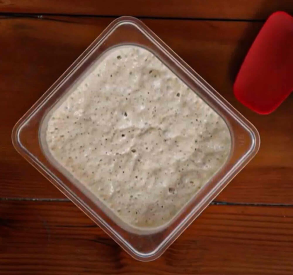 bubbles form on the sourdough