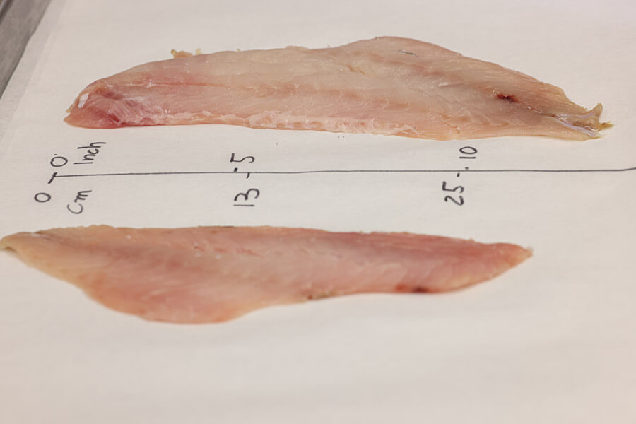 Rockfish Recipe Ingredients